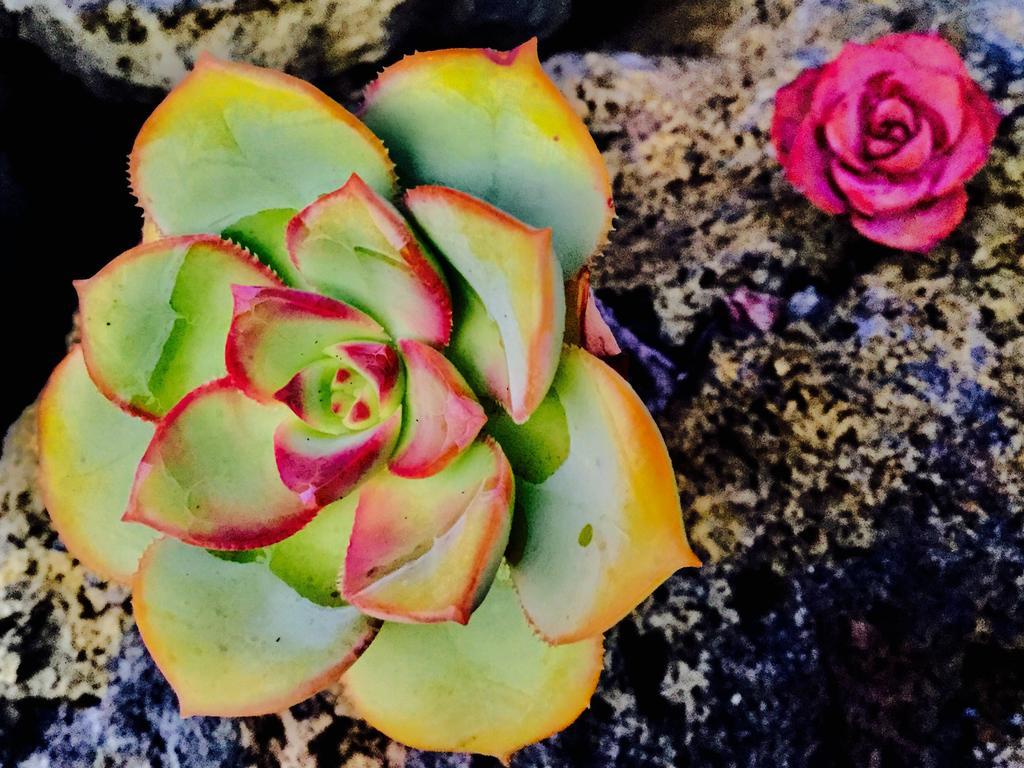 Tigalate Finca Valentina מראה חיצוני תמונה